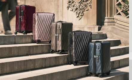 19 디그리 라이트