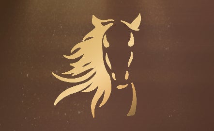 새해 리미티드 컬렉션